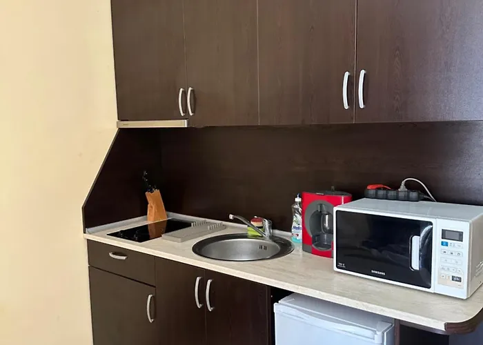 Apartament студио до плажа влас Sveti Vlas