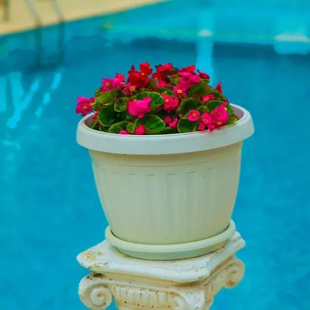 아파트 студио до плажа влас 스베티 블라스